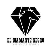 EL DIAMANTE NEGRO ARENA DE RODEO
