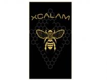 XCALAM