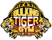 BULKING TIGER GYM