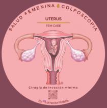 UTERUS FEM CARE SALUD FEMENINA & COLPOSCOPIA CIRUGIA DE INVASION MINIMA BY HERNÁNDEZ LOBATO
