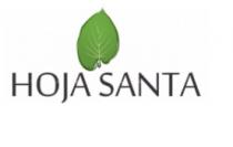HOJA SANTA