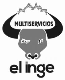 MULTISERVICIOS VOLT EL INGE