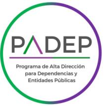 PADEP; PROGRAMA DE ALTA DIRECCION PARA DEPENDENCIAS Y ENTIDADES PUBLICAS.