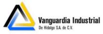 VANGUARDIA INDUSTRIAL DE HIDALGO