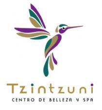 TZINTZUNI CENTRO DE BELLEZA Y SPA