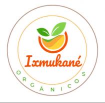 IXMUKANÉ ORGÁNICOS