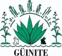 GÜINITE