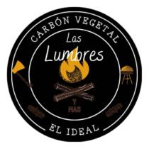 CARBON VEGETAL LAS LUMBRES Y MAS