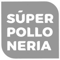 SÚPER POLLO NERIA
