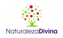 NATURALEZA DIVINA