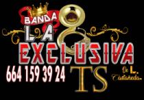 BANDA LA EXCLUSIVA TIERRA DEL SON