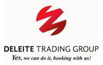 DELEITE TRADING GROUP; S. DE R. L. DE C. V.