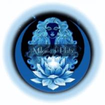 MILENIO DE PLATA