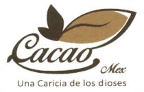 CACAO MEX UNA CARICIA DE LOS DIOSES