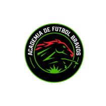ACADEMIA DE FUTBOL BRAVOS