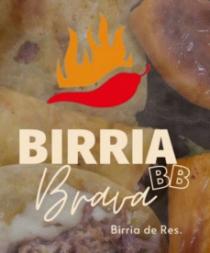 BIRRIA BB BRAVA