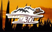 DEL 30