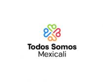 TODOS SOMOS MEXICALI