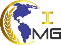 INTERNATIONAL MENTAL GROUP