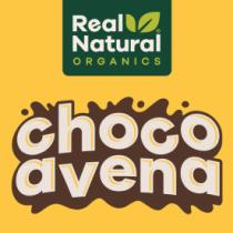 REAL NATURAL ORGANICS CHOCO AVENA