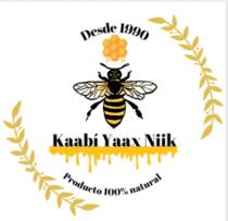 KAABI YAAX NIIK