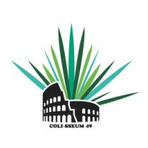 COLI-SSEUM 49