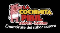 LA COCHINITA PIBIL TAMPICO MADERO