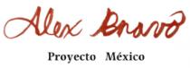 ALEX BRAVO PROYECTO MÉXICO