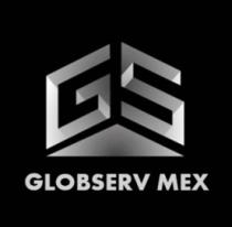 GS GLOBSERV MEX