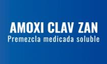 AMOXI CLAV ZAN