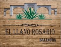 EL LLANO ROSARIO