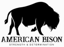 AMERICAN BISON