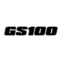 GS100