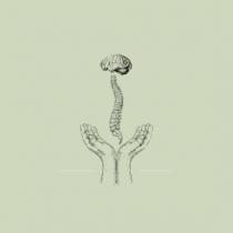 RECONECT (BODY-MIND)