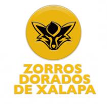 ZORROS DORADOS DE XALAPA