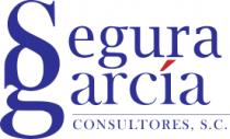 SEGURA GARCIA CONSULTORES; S.C.