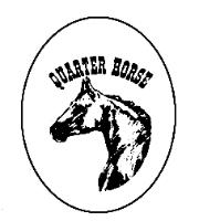 QUARTER HORSE