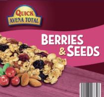 QUICK AVENA TOTAL