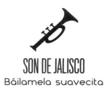 SON DE JALISCO BAILAMELA SI AVECITA