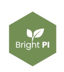 BRIGHT PI