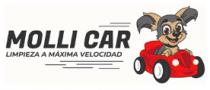 MOLLICAR LIMPIEZA A MAXIMA VELOCIDAD