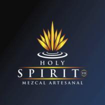 HOLY SPIRIT VII