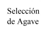 SELECCIÓN DE AGAVE
