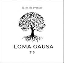 SALON DE EVENTOS LOMA GAUSA 315