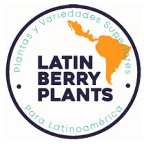 LATIN BERRY PLANTS