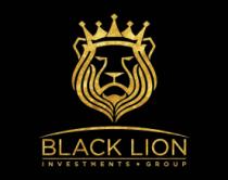 BLACK LION INVESTMENTS GROUP