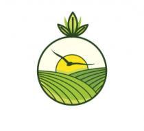 GAVIOTA DEL REY