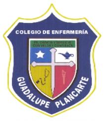 COLEGIO DE ENFERMERIA GUADALUPE PLANCARTE FE; CIENCIA Y SERVICIOS CON VALOR Y CONFIANZA