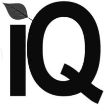 IQ