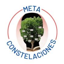META CONSTELACIONES